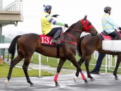 文武傳奇評分著數 路路醒路有專長