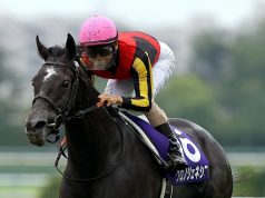 日本馬后「創世駒」準備衝擊凱旋門大賽 (內含多條一級賽贏馬片段) 網友:今年一定係日本仔拎架啦!!!