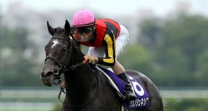 日本馬后「創世駒」準備衝擊凱旋門大賽 (內含多條一級賽贏馬片段) 網友:今年一定係日本仔拎架啦!!!