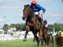 英皇錦標賽馬日24/7/2021【雅大爺日漸成熟】 心水推介- 佳佳