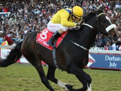 南非冠軍盃賽馬日31/7/2021【再顯光芒力足取勝】 心水推介- 佳佳