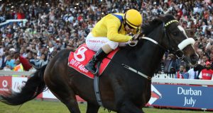 南非冠軍盃賽馬日31/7/2021【再顯光芒力足取勝】 心水推介- 佳佳