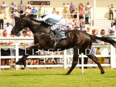 鄭雨滇取得英國第三W(有片睇) 網友:佢騎功相當紮實!!!