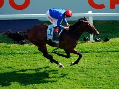 葉森打吡冠軍「雅大爺」贏埋英皇錦標(有片睇) 網友:佢係新一代三歲馬王!!!