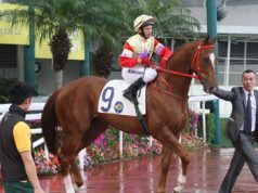 十歲老馬歡樂小子光榮退役,為大家送上牠最後一場贏馬片段 網友:佢簡直係香港賽馬界既三浦知良!!!