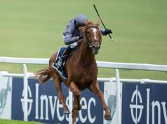 古活盃賽馬日27/7/2021【蛇紋石質高要防】 心水推介- 佳佳