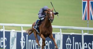 古活盃賽馬日27/7/2021【蛇紋石質高要防】 心水推介- 佳佳