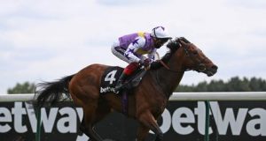 紀爾斯大賽日8/8/2021【湖畔鄉鎮近況大勇】 心水推介- 佳佳