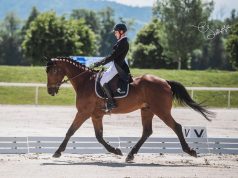 【東京奧運】瑞士騎手愛駒越野賽項目傷重被人道毀滅… 網友:真係好心痛!