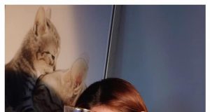 40歲陳自瑤美貌十年如一日(多圖) 網友:同四葉草個陣一樣咁靚!!!