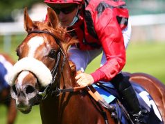 蕭家最強2歲王Atomic Force可能來港服役(有最新賽事片睇) 網友:呢隻肯定勁過速遞奇兵同大紅蜂啦!!!