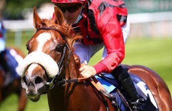 蕭家最強2歲王Atomic Force可能來港服役(有最新賽事片睇) 網友:呢隻肯定勁過速遞奇兵同大紅蜂啦!!!