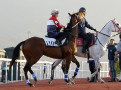 羅斯齊爾德大賽日3/8/2021【壯思飛人馬合拍】 心水推介- 佳佳