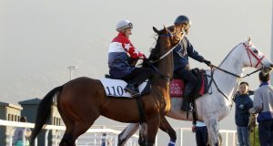 羅斯齊爾德大賽日3/8/2021【壯思飛人馬合拍】 心水推介- 佳佳