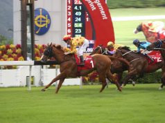 前香港短途馬王「大運財」五年前在紀爾斯大賽中斷腳離世(有片睇) 網友:永遠懷念呢匹忠心馬!!!