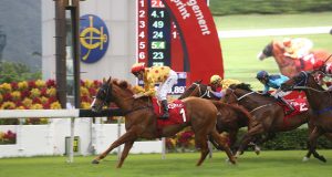 前香港短途馬王「大運財」五年前在紀爾斯大賽中斷腳離世(有片睇) 網友:永遠懷念呢匹忠心馬!!!