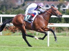 傑克莫華大賽日15/8/2021【詩情綻放進步神速】 心水推介- 佳佳