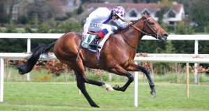 傑克莫華大賽日15/8/2021【詩情綻放進步神速】 心水推介- 佳佳