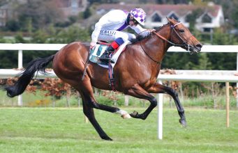 傑克莫華大賽日15/8/2021【詩情綻放進步神速】 心水推介- 佳佳