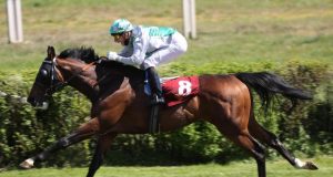 54歲巫斯義騎「李伯狂言」幾乎偷雞成功(有片睇) 網友:佢先係天下第一高手!!!