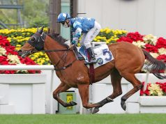 5/9/2021 馬季開鑼日沙田馬10場心水 錶之未來穩三甲 名家:90後King仔