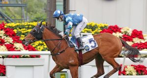 5/9/2021 馬季開鑼日沙田馬10場心水 錶之未來穩三甲 名家:90後King仔