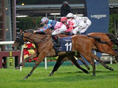 24/10/2021 沙田賽馬日10場心水 冠寶駒轉場無有怕 雪山飛狐施回馬槍 名家:勁哥