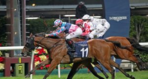 24/10/2021 沙田賽馬日10場心水 冠寶駒轉場無有怕 雪山飛狐施回馬槍 名家:勁哥