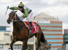 柏寶憑「鼓動」捧走一級賽考菲爾德盃(有片睇) 網友:強如潘頓都未必做到