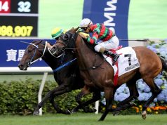 17/10/2021 沙田煲呔賽馬日10場心水 聚才力爭三連捷 將王今仗現真身 名家:勁哥