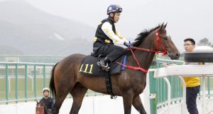 17/11/2021 快活谷夜賽9場心水 太陽威威路有專長 友港友笑可賺形勢