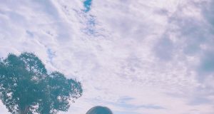 護士姐姐何沛珈沙灘性感曬身材(多圖) 網友:佢係有料之人!!!