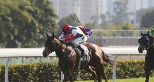 28/11/2021 沙田泥草混合賽10場心水推介 百步穿雲有力補中 糖糖幸運檔好人佳