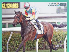 (攞彩 Lucky Choice) 大衛希斯禍不單行 佳運財或緣盡打吡 喜蓮新星人道毁滅