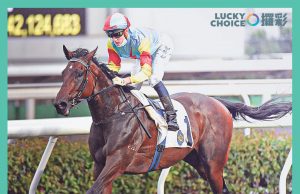 (攞彩 Lucky Choice) 大衛希斯禍不單行 佳運財或緣盡打吡 喜蓮新星人道毁滅