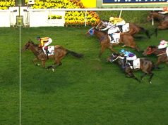 少爺仔連贏三場將成金鎗六十接班馬(有片睇)