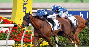 30/1/2022 沙田10場泥草混合賽心水推介 飛輪閃耀回師勝途 韋小寶轉場賺級數 勁哥推介