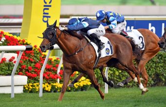 30/1/2022 沙田10場泥草混合賽心水推介 飛輪閃耀回師勝途 韋小寶轉場賺級數 勁哥推介