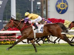 23/1/2021 沙田10場大賽日心水推介 幸福笑容有權反先 少爺仔三班難留 勁哥推介