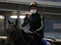 12/2/2022 沙田泥草10場日賽心水推介 美麗在線無懼外檔 少爺仔搶分無保留 勁哥推介