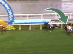 將王捧走香港金盃(有片睇) 馬王「金鎗六十」連「玖寶」都過唔到!!!