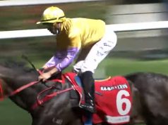 27/2/2022 沙田10場泥草混合賽心水推介 幸福至上以下犯上 勝不驕轉場都要捧 勁哥推介