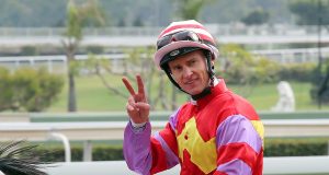 「賽馬數據師」潘頓呢兩匹馬你要吼實!!!