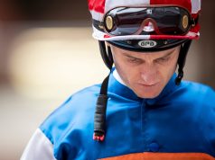 「賽馬數據師」尾場有一項重要數據你一定要知!!!