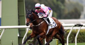 3/2/2022 大年初三沙田11場草地賽心水推介 閃電換人力求補中 北極光三班無對手 勁哥推介