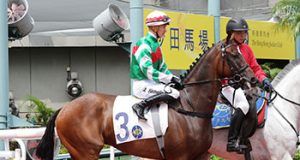 30/3/2022沙田全泥夜賽8場心水推介 超速換人搏你唔信 閃電大勇可爭連捷