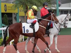 27/3/2022沙田10場賽日心水推介 亞洲力量贏馬交代 綫路之星檔好人佳 勁哥推介
