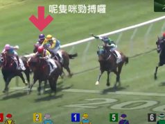 六隻馬雷神隻勁搏都可以塞車 超悅明駒騎得仲衰過上場(有片睇)