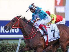 20/3/2022沙田10場打吡賽日心水推介 浪漫勇士劍指打吡 勝不驕潘頓唔放手 勁哥推介