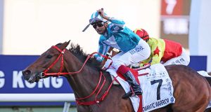 20/3/2022沙田10場打吡賽日心水推介 浪漫勇士劍指打吡 勝不驕潘頓唔放手 勁哥推介